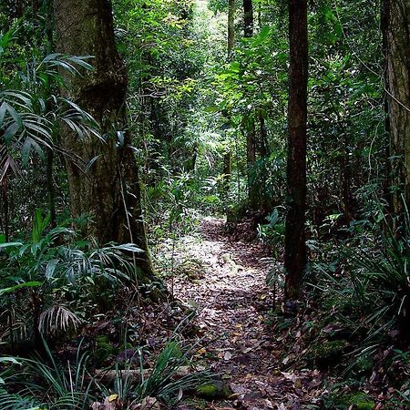 Villa Springbrook Lyrebird Retreat Esterno foto