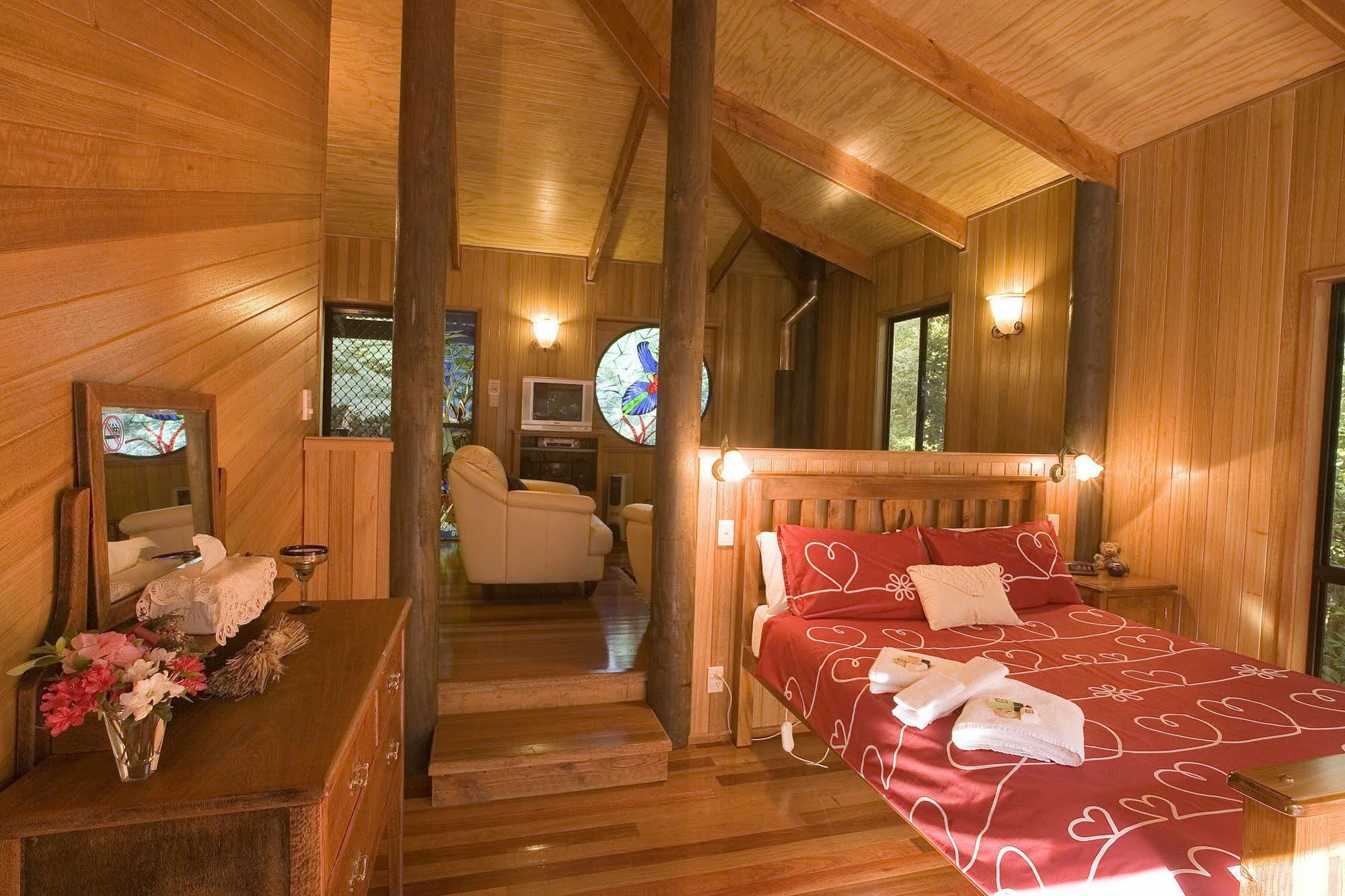 Villa Springbrook Lyrebird Retreat Esterno foto