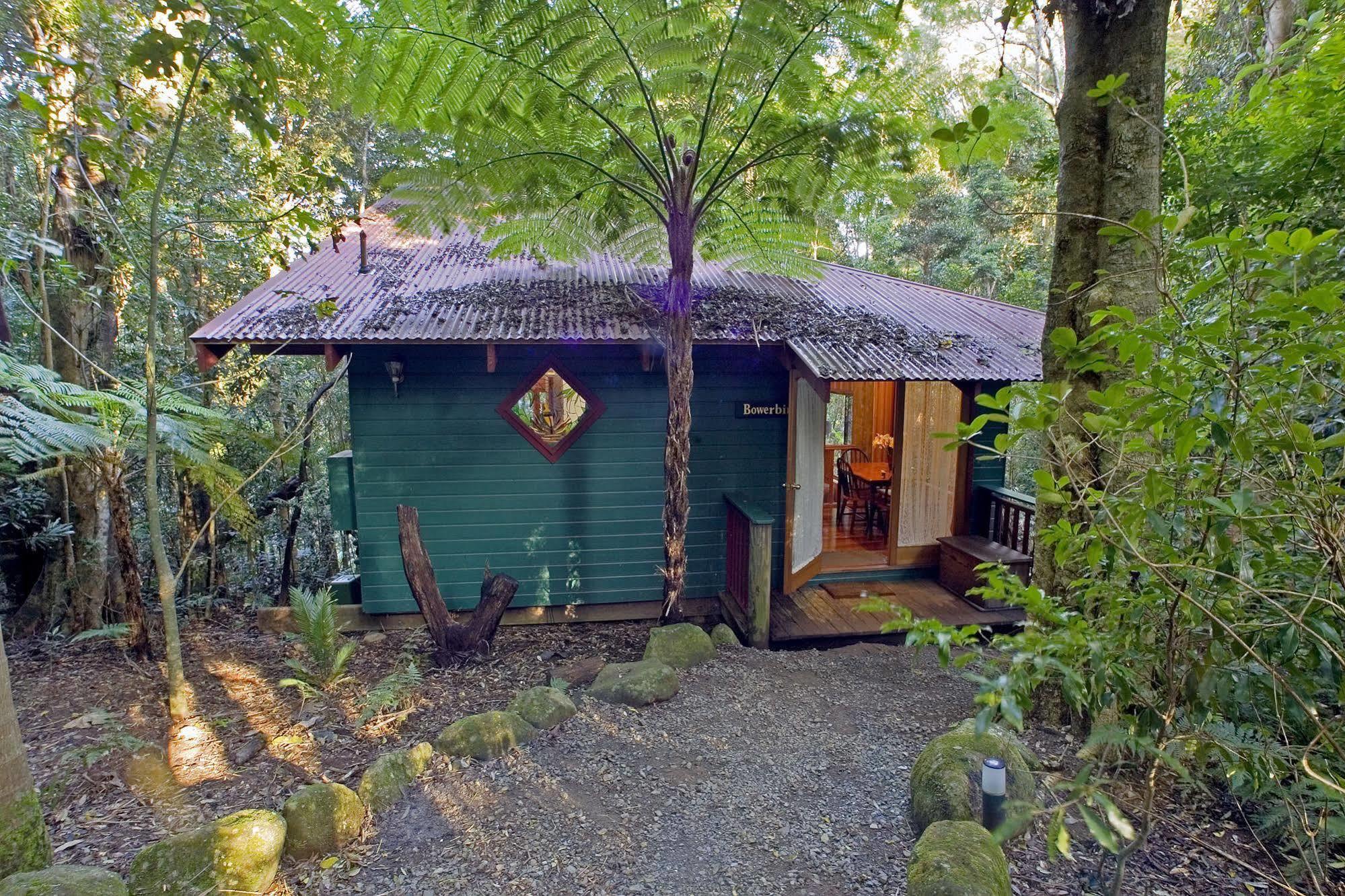 Villa Springbrook Lyrebird Retreat Esterno foto