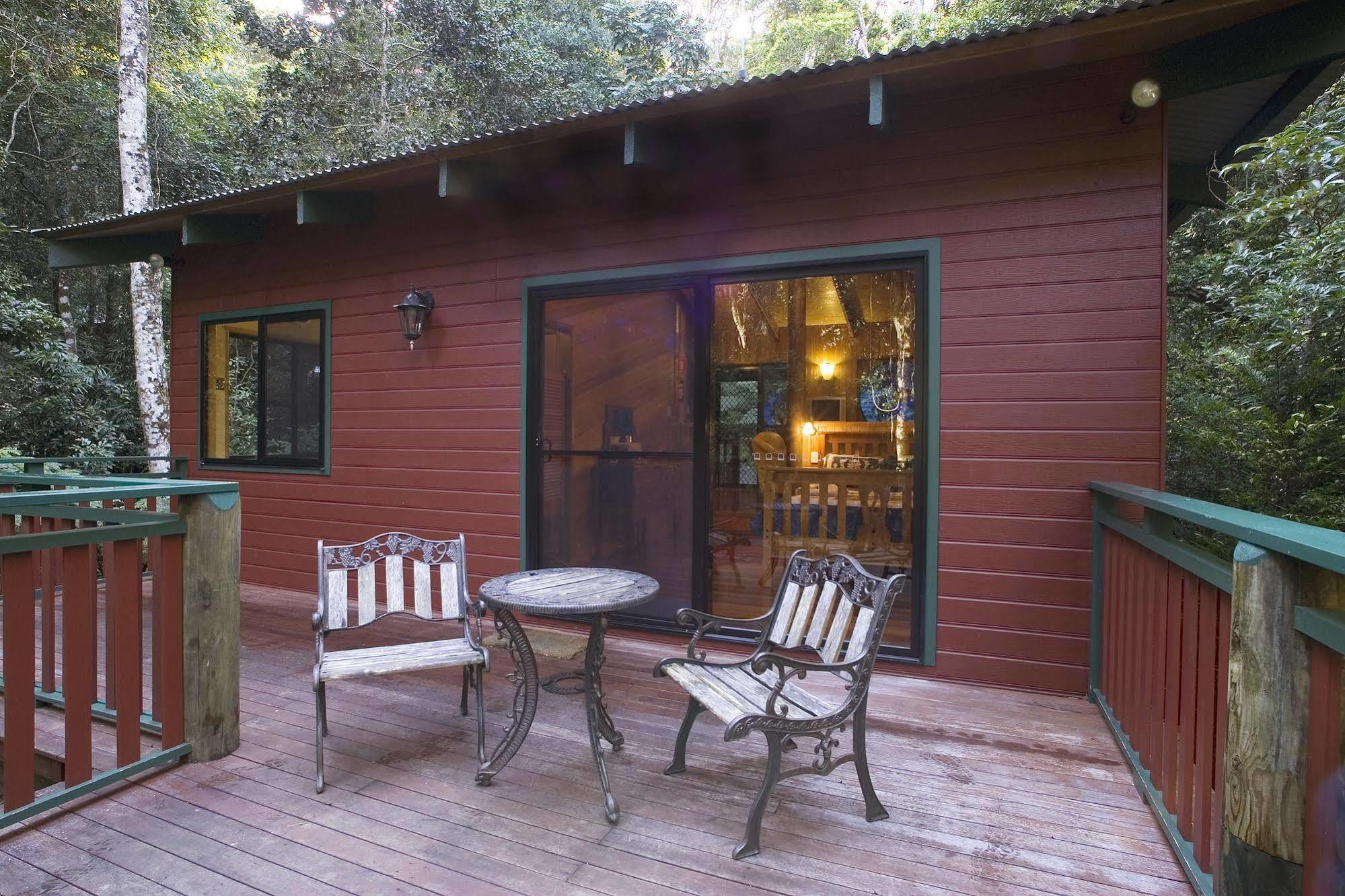 Villa Springbrook Lyrebird Retreat Esterno foto