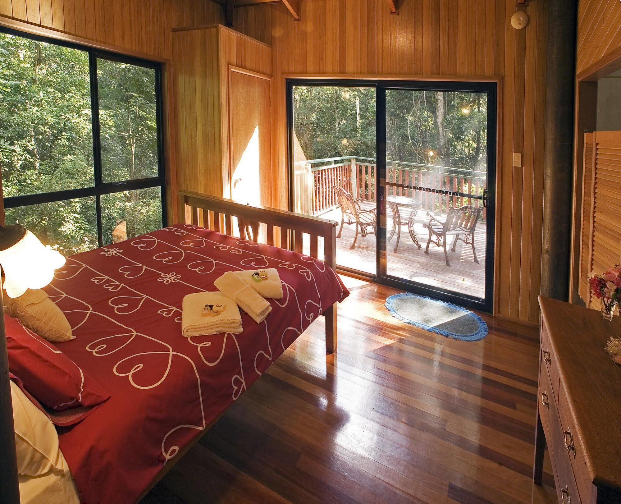 Villa Springbrook Lyrebird Retreat Esterno foto
