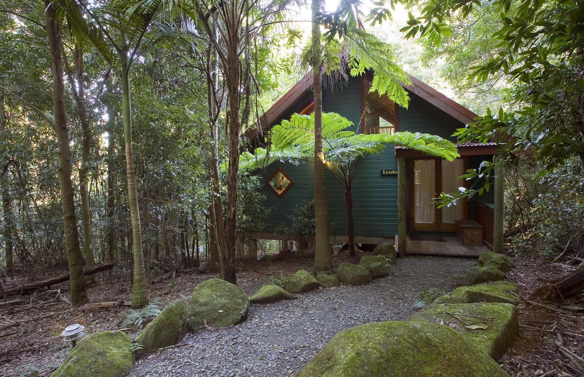 Villa Springbrook Lyrebird Retreat Esterno foto