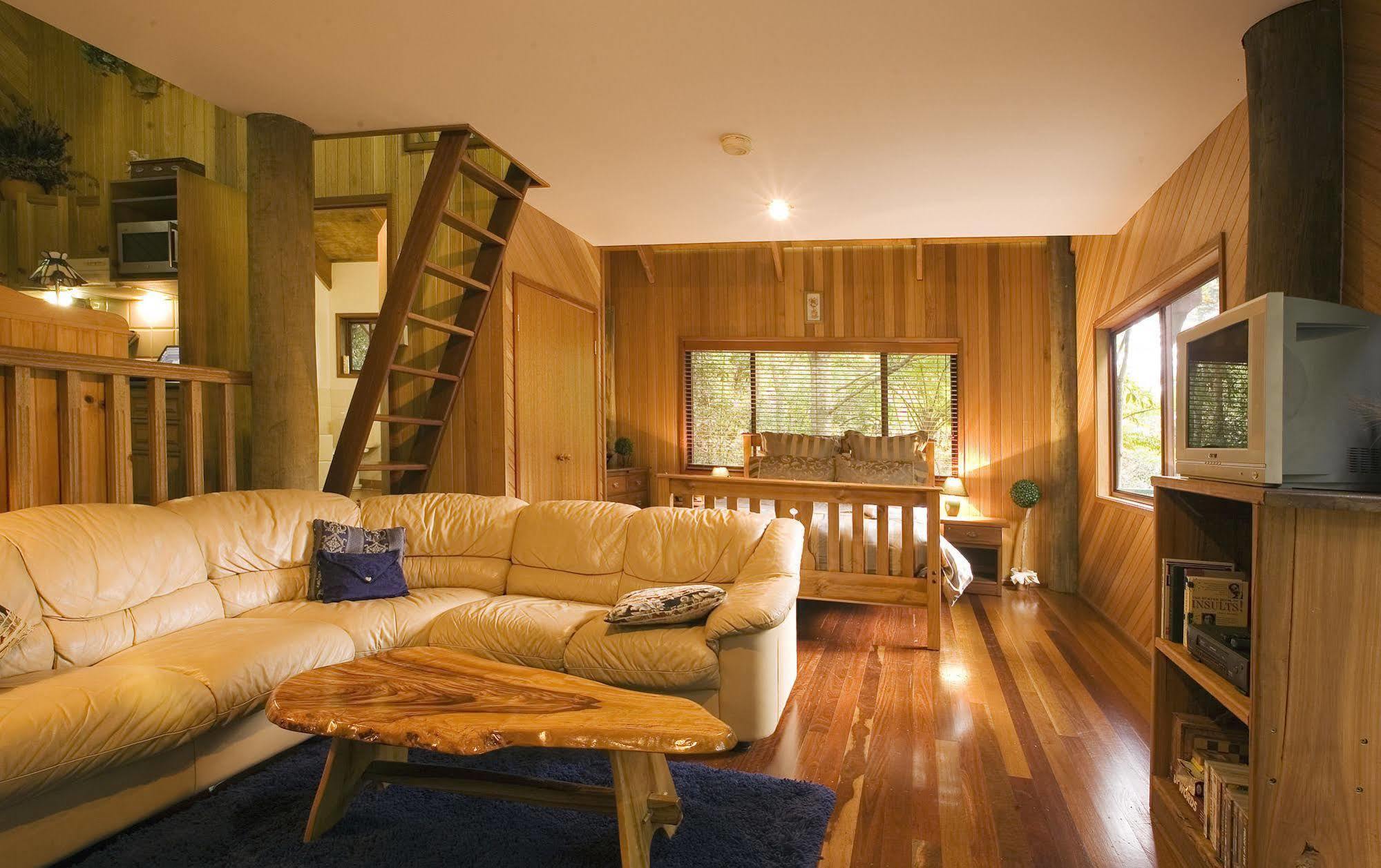 Villa Springbrook Lyrebird Retreat Esterno foto