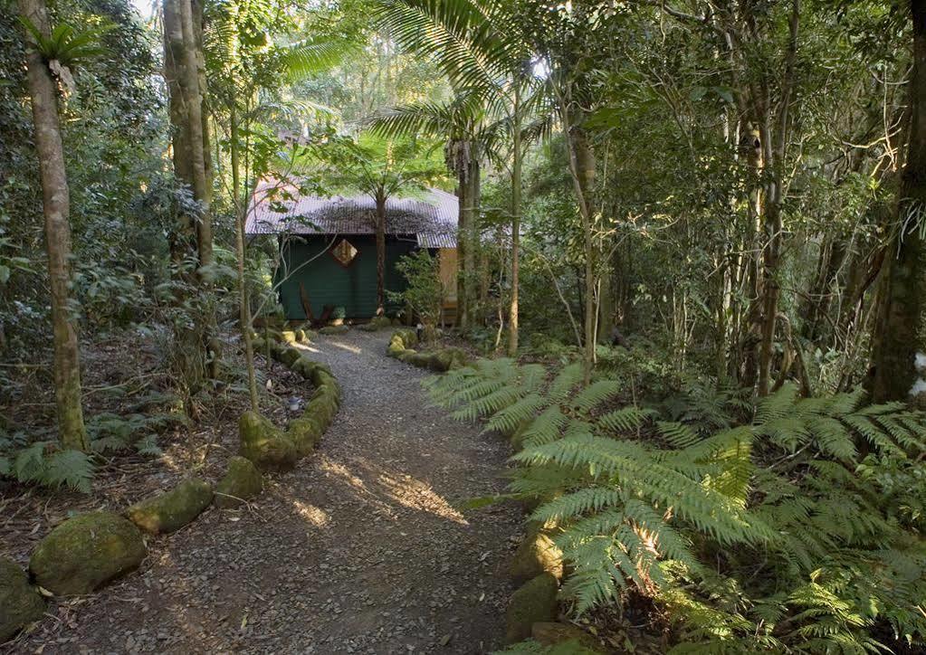Villa Springbrook Lyrebird Retreat Esterno foto