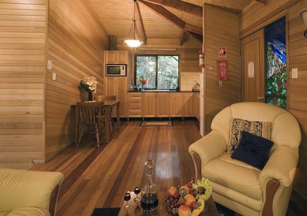 Villa Springbrook Lyrebird Retreat Esterno foto