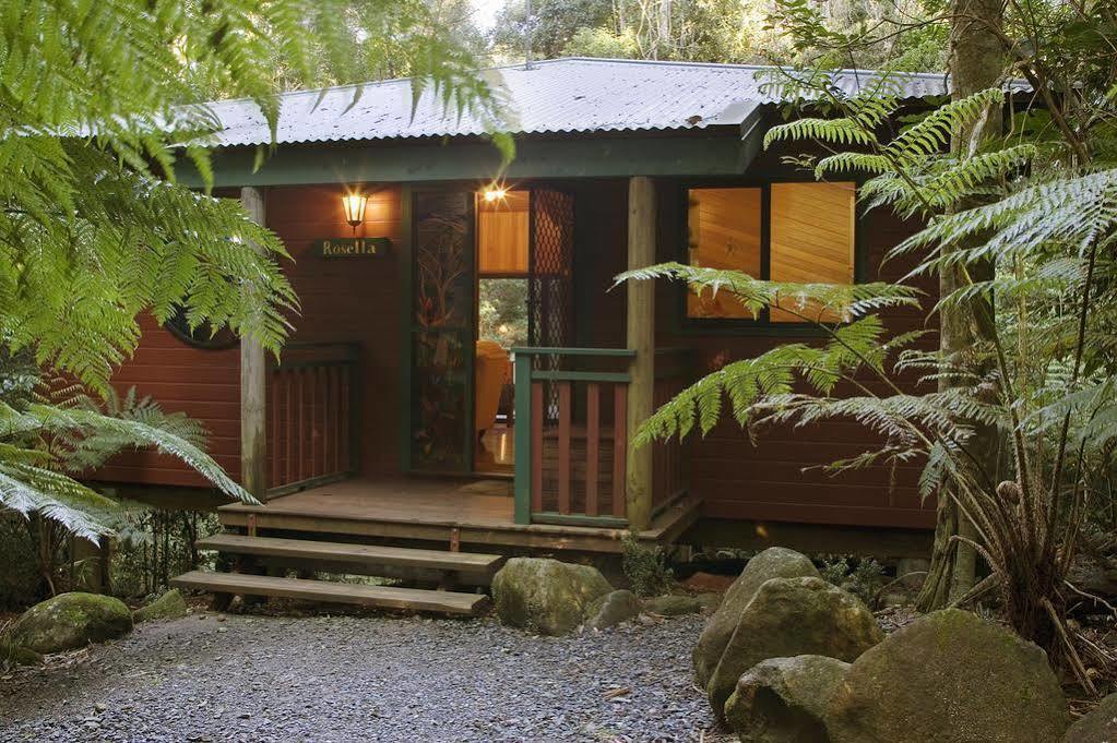 Villa Springbrook Lyrebird Retreat Esterno foto