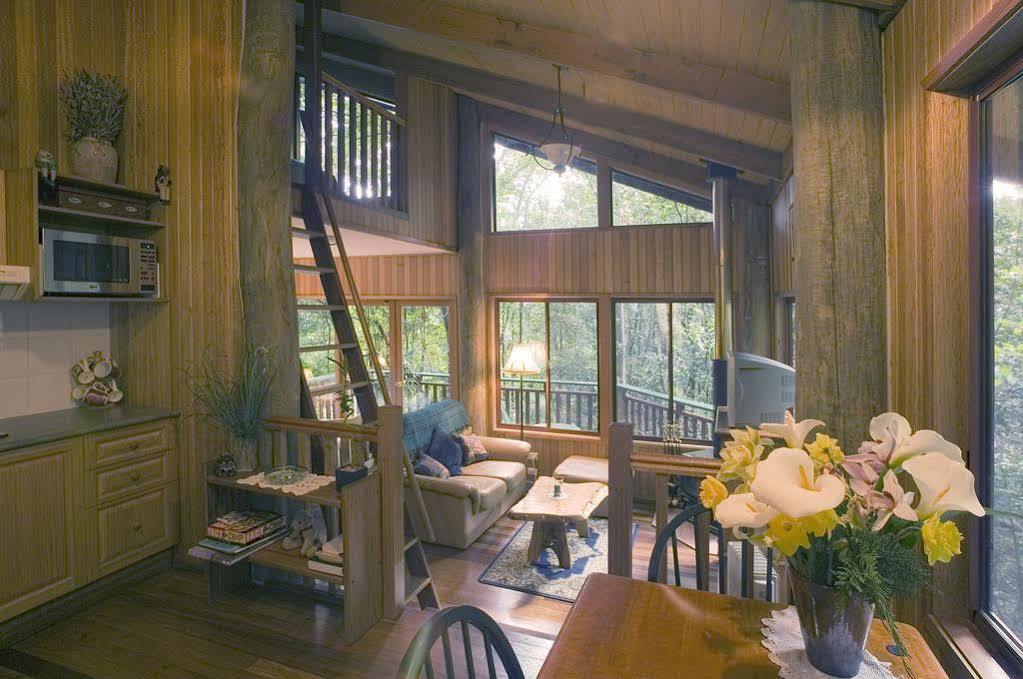 Villa Springbrook Lyrebird Retreat Esterno foto
